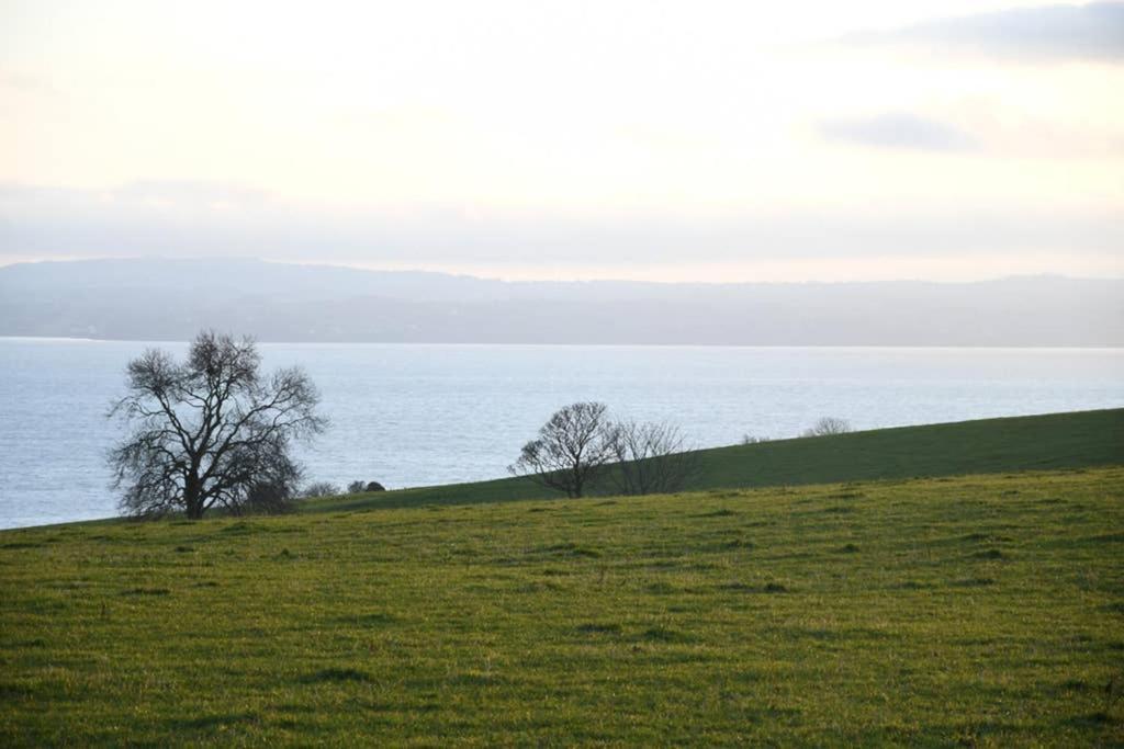 Whitehead Holiday Cottage *